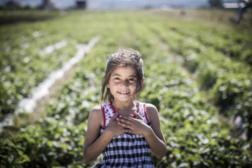 Bild på en liten flicka på ett grönsaksfält.
