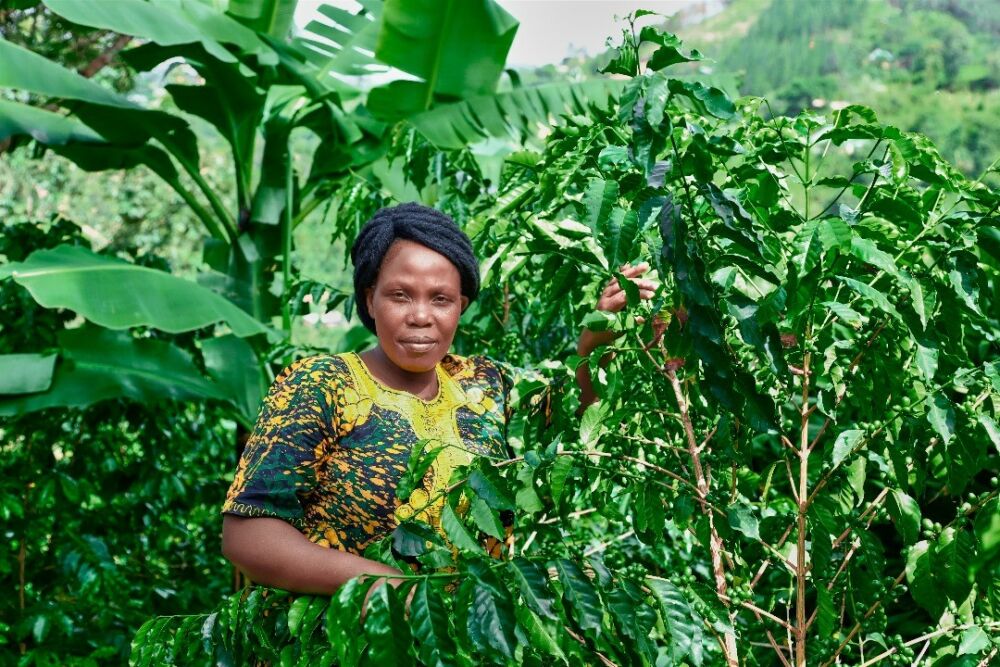 Bild på kvinnlig bonde i sina odlingar.