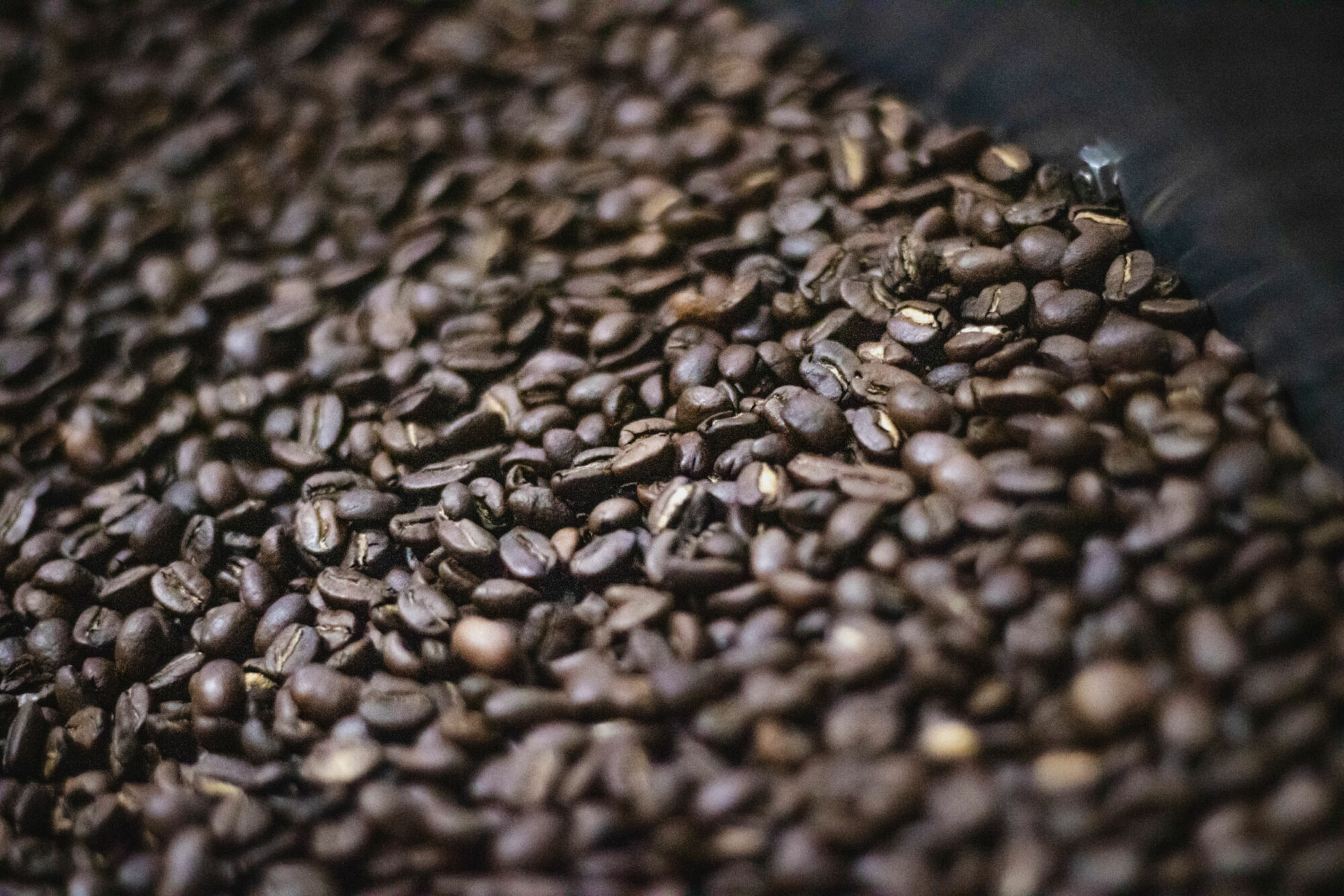 kaffebönor från kaffodlingar i Guatemala