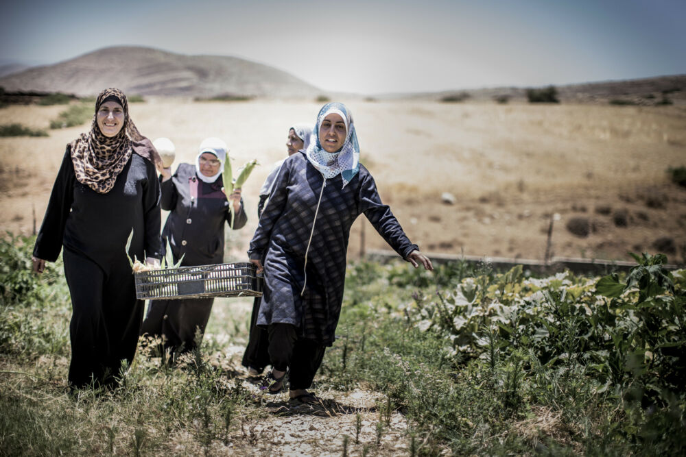 Kvinnliga bönder i Palestina.