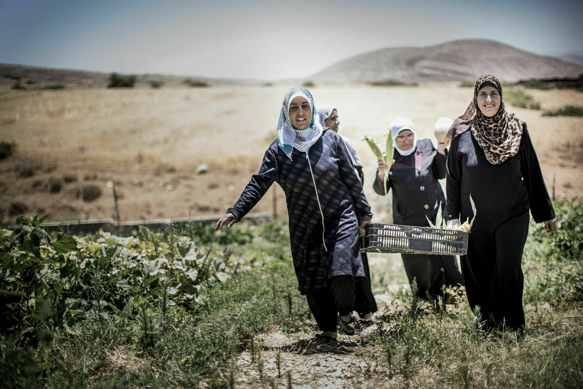 Kvinnliga bönder i Palestina.